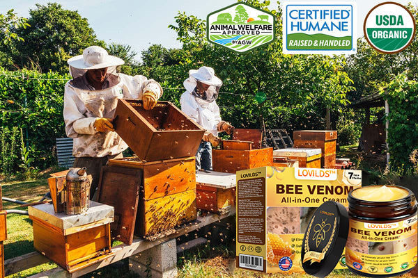LOVILDS™ Bee Venom All-in-One Cream US Dermatologist Approved🐝🐝